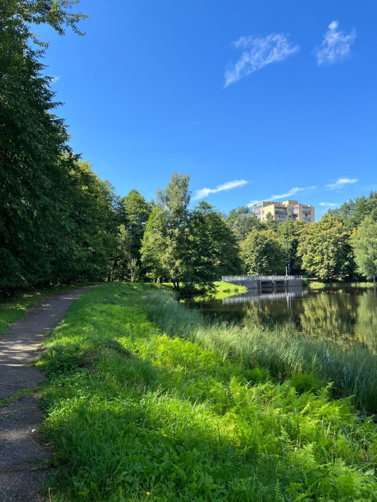 Saules Tako Apartamentai Druskininkai Luaran gambar